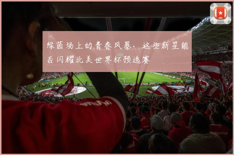 绿茵场上的青春风暴,这些新星能否闪耀北美世界杯预选赛
