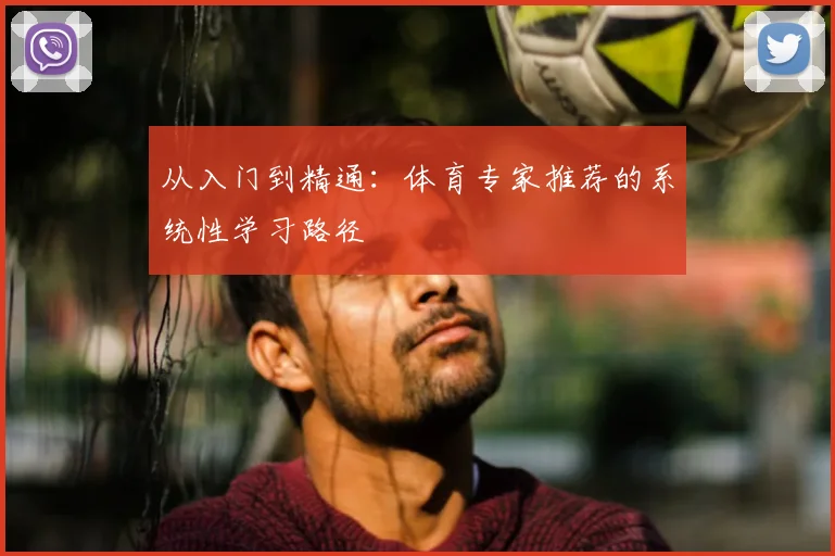 从入门到精通:体育专家推荐的系统性学习路径
