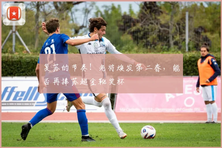 复苏的节奏！老将焕发第二春，能否再捧苏超金靴奖杯